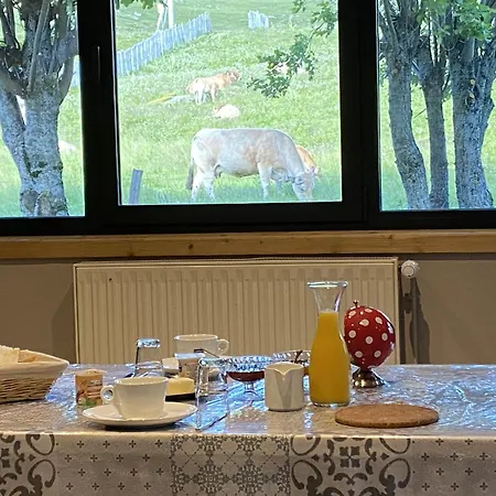 Le Plomb Du Cantal Albepierre-Bredons