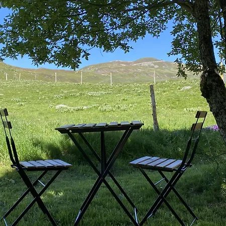 Le Plomb Du Cantal *