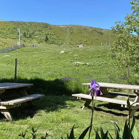 Le Plomb Du Cantal 펜션 Albepierre-Bredons