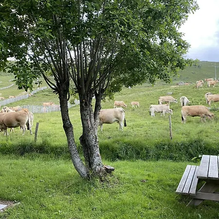 펜션 Le Plomb Du Cantal